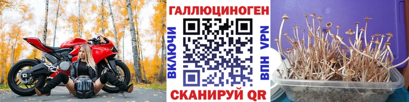 Галлюциногенные грибы Magic Shrooms  Воронеж 
